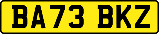 BA73BKZ
