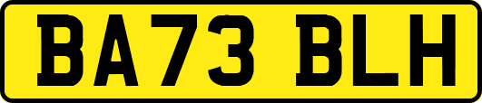 BA73BLH