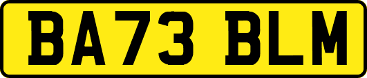 BA73BLM