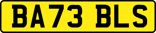 BA73BLS
