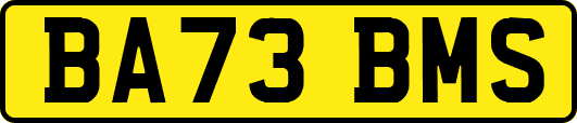 BA73BMS