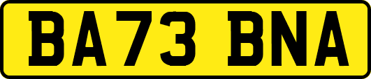 BA73BNA