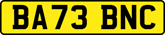 BA73BNC