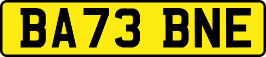 BA73BNE
