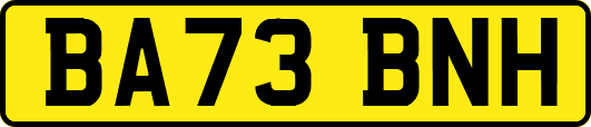 BA73BNH