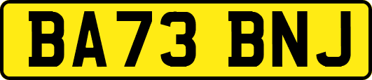BA73BNJ