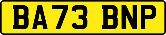 BA73BNP