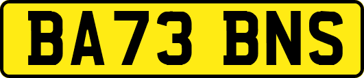 BA73BNS