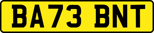 BA73BNT