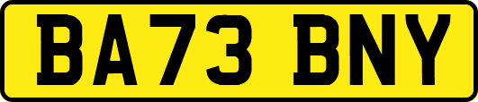 BA73BNY
