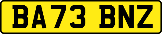 BA73BNZ