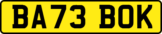 BA73BOK