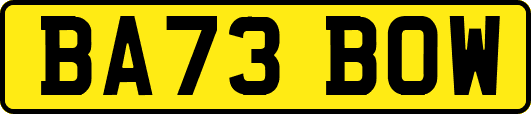 BA73BOW