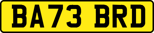 BA73BRD