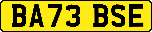 BA73BSE