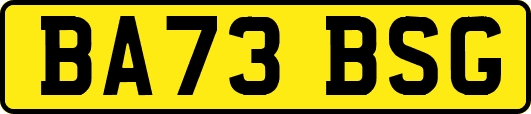 BA73BSG