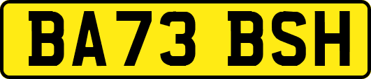BA73BSH