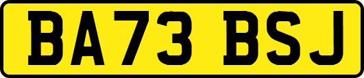 BA73BSJ