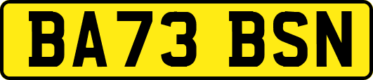 BA73BSN