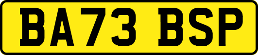 BA73BSP