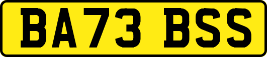 BA73BSS
