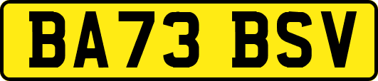 BA73BSV