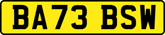 BA73BSW