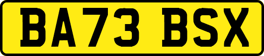 BA73BSX