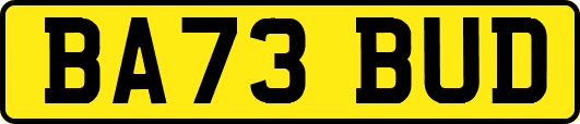 BA73BUD