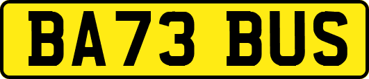 BA73BUS