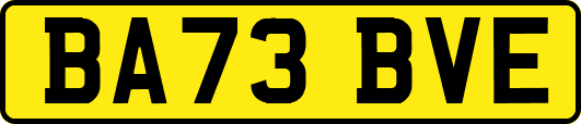 BA73BVE