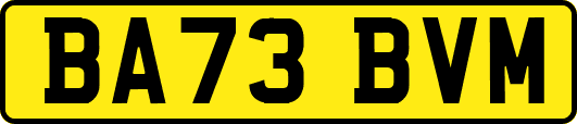 BA73BVM