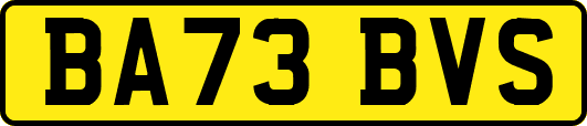 BA73BVS