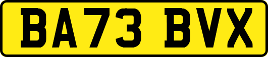 BA73BVX