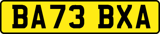 BA73BXA