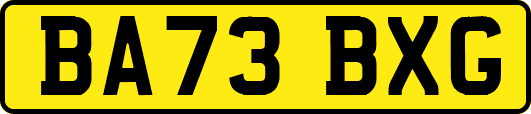 BA73BXG