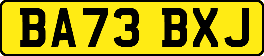 BA73BXJ