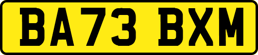 BA73BXM