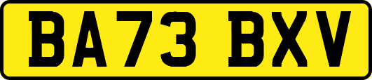 BA73BXV
