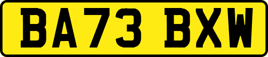 BA73BXW