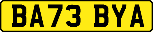 BA73BYA