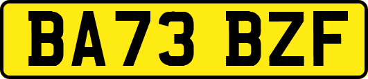BA73BZF