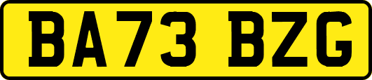 BA73BZG