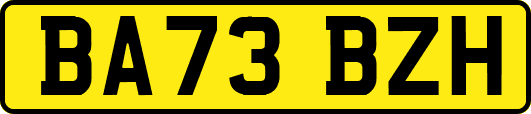 BA73BZH