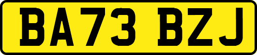 BA73BZJ