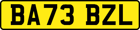 BA73BZL