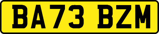 BA73BZM