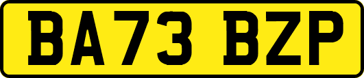 BA73BZP