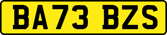 BA73BZS