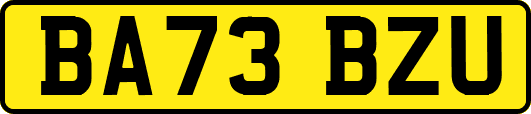 BA73BZU